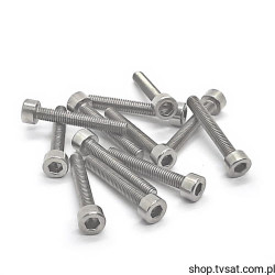 091223.20 M3X10/DIN912 SCREW S+P