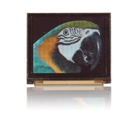 Wyświetlacz OLED RGB macierz pasywna 160 x 128pikseli Midas COG I2C, równoległe, SPI