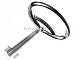 Klucz do szaf elektrycznych, dwupiórkowy D5-M