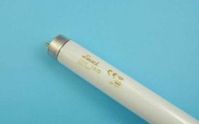 ŚWIETL.58W T-8 G13 150cm 6500K 865 LEUCI