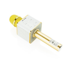 Mikrofon bezprzew.PRM401 BLOW zł złoty karaoke głośnik