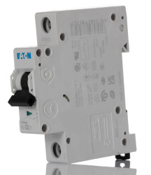 Wyłącznik nadprądowy MCB, Typ D, 1-biegunowy, 2A, 240V, 48V, na szynę DIN, Eaton FAZ-D2/1