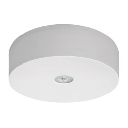 Oprawa awaryjna AXN IP65 ECO LED 1W 125lm (opt. otwarta) 3h jednozadaniowa AT biała AXNO/1W/E/3/SE/AT/WH