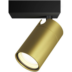 Philips 8720169299177 Idris Ceiling Floodlight GU10 Gold Bathroom IP44