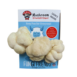 Betty the Yeti - Lion&#39;s Mane Mushroom Grow Kit - 5 LBS