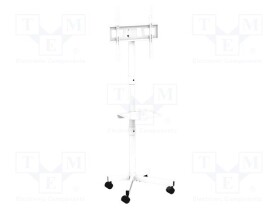 TVS-55T-03-W