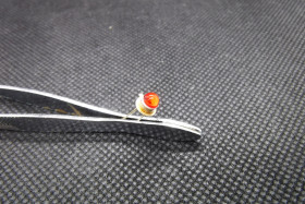 CQXP-02 Polamp dioda led czerwona klarowna soczewka