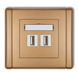 FLEXI Gniazdo podwójne 2xUSB-AA złoty metalik 8FGUSB-2