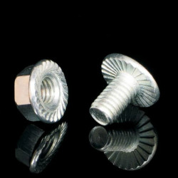 Śruba bramowa oraz nakrętka zaciskowa 250szt. S 6X20 M_ZNCR