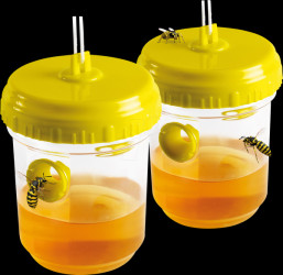 66645INT Wasp trap set of 2