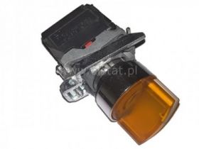 Przełącznik bistabilny 2-poz. piórowy + podśw.