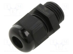 AIO-BSCS-22
