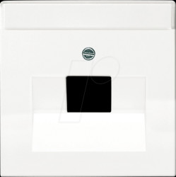 1803-84 Zentralscheibe UAE-Abdeckung