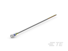 TE Connectivity 3-2317570-6 Przełącznik wciskany, 1 szt.
