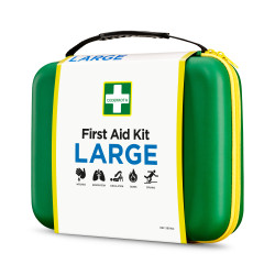 Apteczka pierwszej pomocy, typ: Apteczka pierwszej pomocy, Futerał