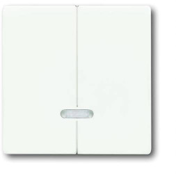 Moduł wejściowy Busch-Jaeger 6545-884 brak 1 szt.