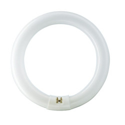 Świetlówka kołowa TL-E 40W/840 G10q PHILIPS