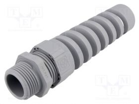 BS-3/4NPT-SGY
