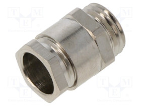 LP-52020300