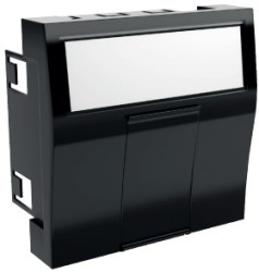 Płytka czołowa, seria: BC45, l. otworów: 2, RJ45, Prosty