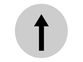 Soczewka M22-XDL-W-X7 przycisku płaska biała z opisem 218305 EATON