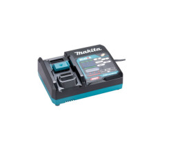Battery Charger 40V BS Plug