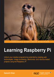 Learning Raspberry Pi. Unlock your creative programming potential by creating web technologies, image processing, electronics- a