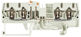 Złącze rozdzielające Wieland Electric 56.703.5555.0 terminal przepustowy 100 szt.