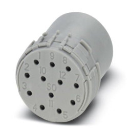 Wkładka stykowa Żeński 12-pinowe