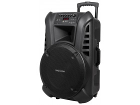 Aktywna kolumna głośnikowa (z 2 mikrofonami...