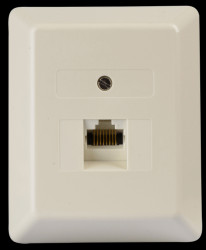 1-622.41.5.01 Western-Uni connection socket, single, surface-mounted
