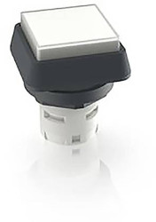 RAFI 1.30.070.051/1002 1.30.070.051/1002 Przycisk podświetlany (D x S x W) 24.95 x 24.95 x 29.15 mm 1 szt.