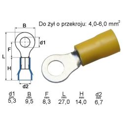 Konektor oczkowy KOY-5 601042