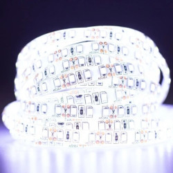 Taśma LED Pasek 12V 48W 600LED 2835 Zimna IP65 8mm 5m