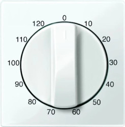 Merten System M Płytka centralna łącznika czasowego 120min biały polarny MTN567519