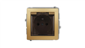 Deco Gniazdo Bryzgoszczelne Z/U (Klapka Dymna) Złoty 29Dgpb-1Zdp