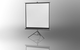 Ekran wieszany na statywie Celexon, 184 x 184 cm, 1:1