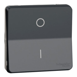 Włącznik światła, IP55, Schneider Electric