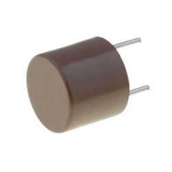 T 2A 250V Bezpiecznik kubkowy zwłoczny