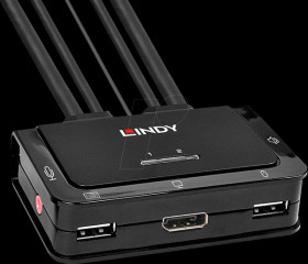 42344 2-Port KVM Switch, DisplayPort