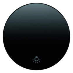 Klawisz z nadrukiem symbolu caliświatłocali Berker R.1/R.3 czarny połysk 16202035