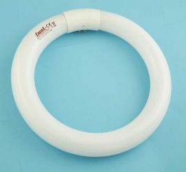 ŚWIETL.KOŁ.22W 21cm G10Q L-22W/865 TRI