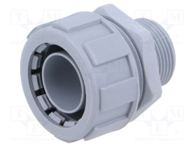 LP-55502445