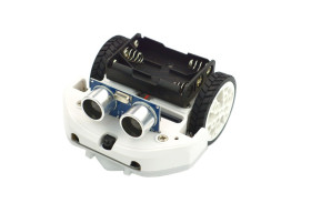 micro: Maqueen Lite with Skin White