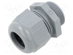ILME-ASM25I