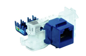 Gniazdo RJ45 UTP kat. 5e keystone niebieskie (beznarzędziowe), DCN/FA-S682MK-8-C5E