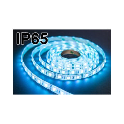 Taśma LED SMD5050 niebieska IP65 (300LED/5m) w silikonie 12V