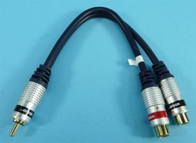 ROZG.WT.CINCH-&gt;2xGN.CINCH DIGITAL RP100