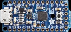 2000 Development boards - Adafruit Pro Trinket 5V