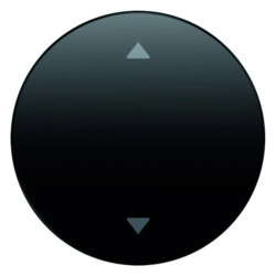 Klawisz z nadrukiem symbolu strzałki Berker R.1/R.3 czarny połysk 16202005